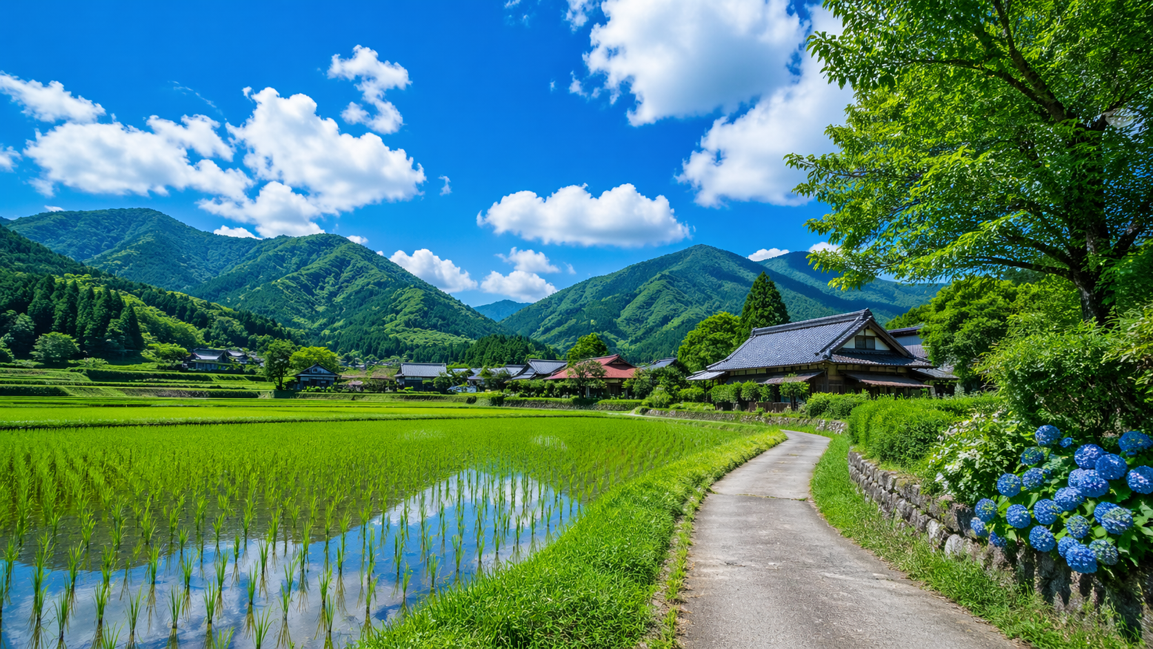 Japanese Summer Sound Effects Pack